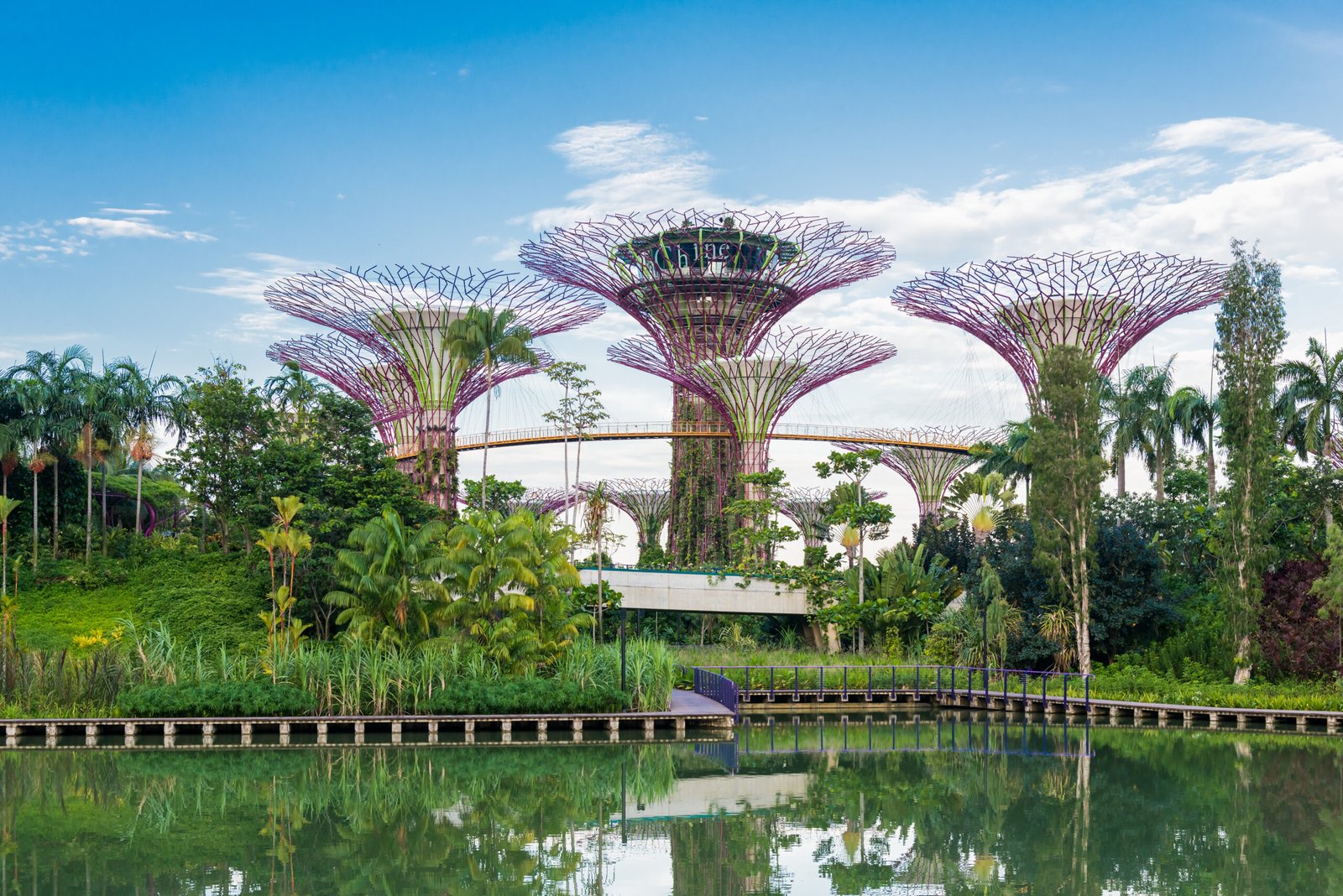 Gardens by the Bay, at Singapore