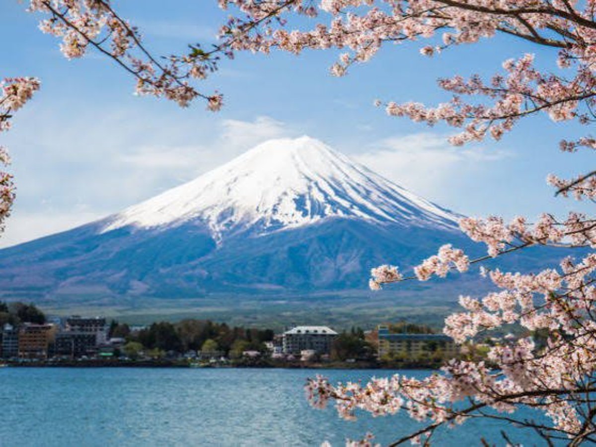 images-8