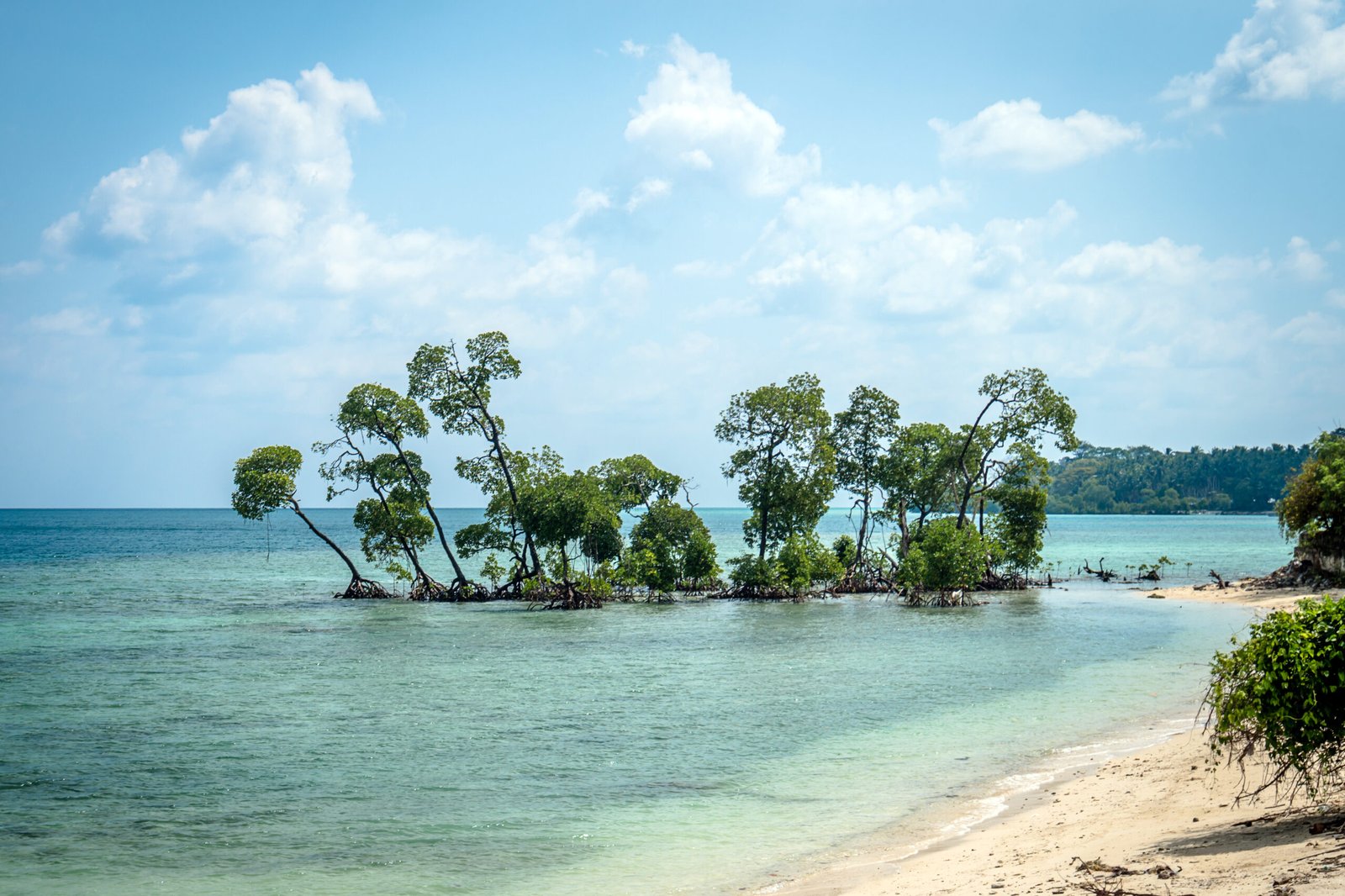 scene at laxmanpur beach, Neil Island, Andaman and Nicobar, India