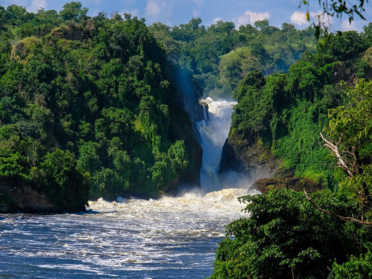 waterfall-middle-cliffs-with-trees-plants-sunny-day-scaled
